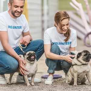 animal-shelter-1