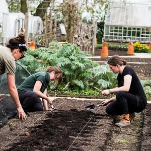 garden-volunteer-management-6