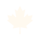 CDN icon