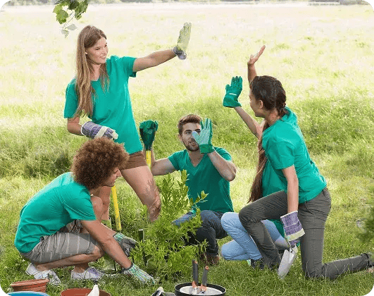 Volunteers in green shirts planting a tree together and celebrating with high fives.