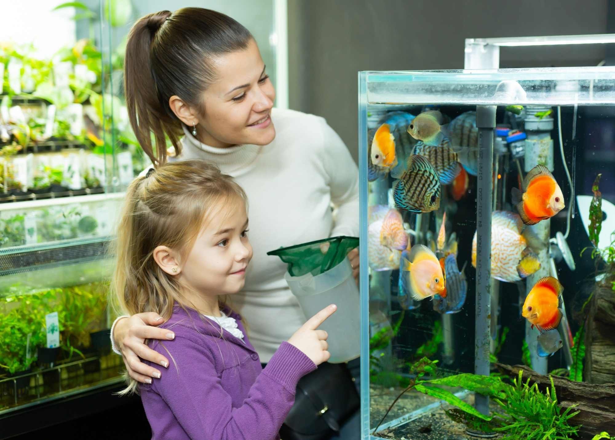 Copy of Square Guide Mock Up - Volunteer Leadership Guides (5 x 7 in) (1)-1