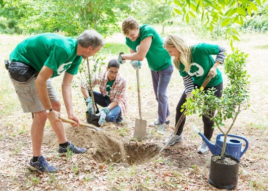 Volunteers in a garden