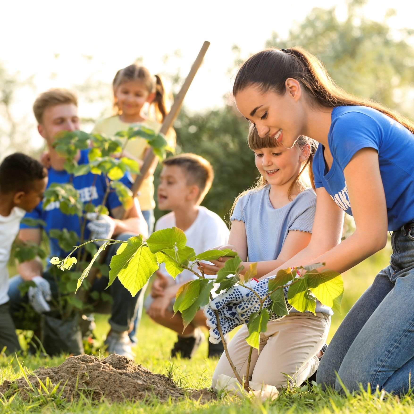 Industry Page - Master Gardener