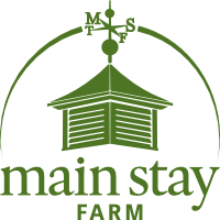 Main Stay Therapeutic Logo