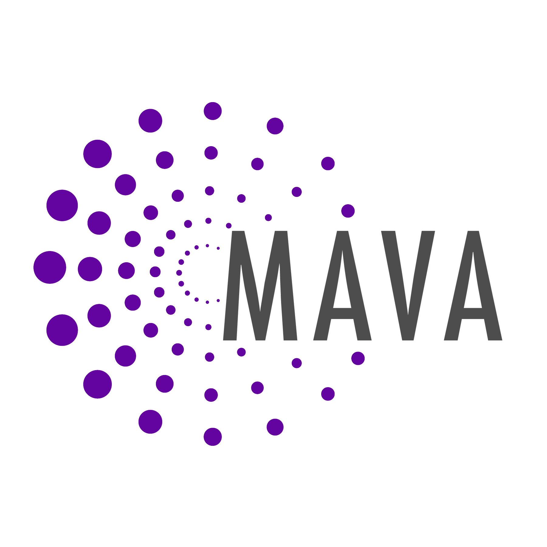 Picture of Minnesota Alliance for Volunteer Advancement (MAVA)
